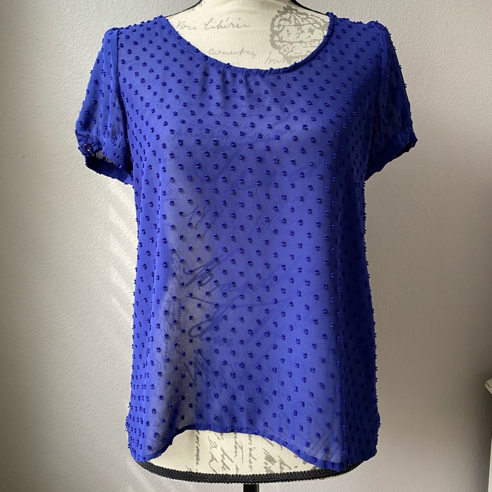 Women’s blue sheer blouse, SZ S.